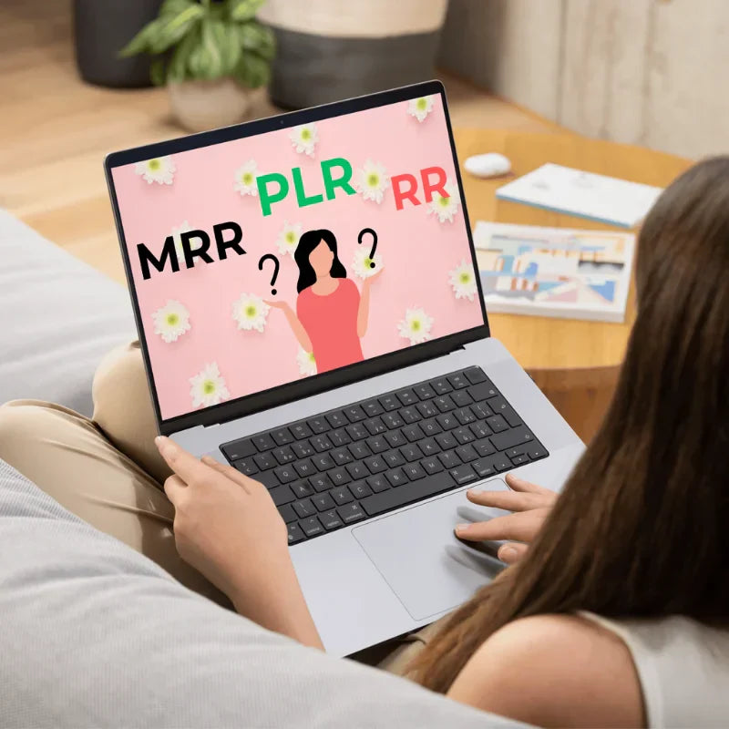 Les différences clés entre les produits PLR, MRR et RR expliquées simplement