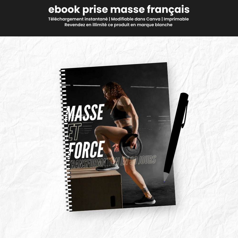 ebook prise de masse PLR Français
