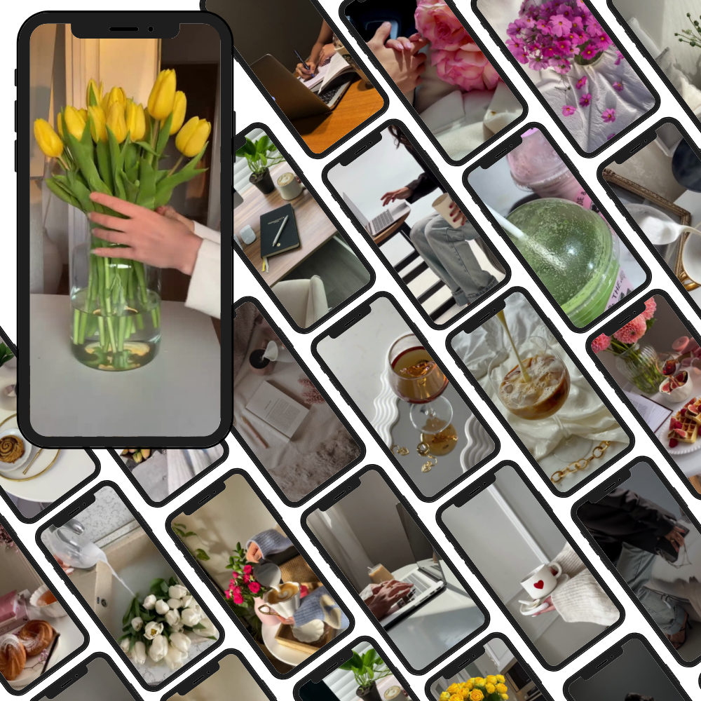 350 Vidéos Faceless PLR – Prêtes à personnaliser et revendre - Captivateur