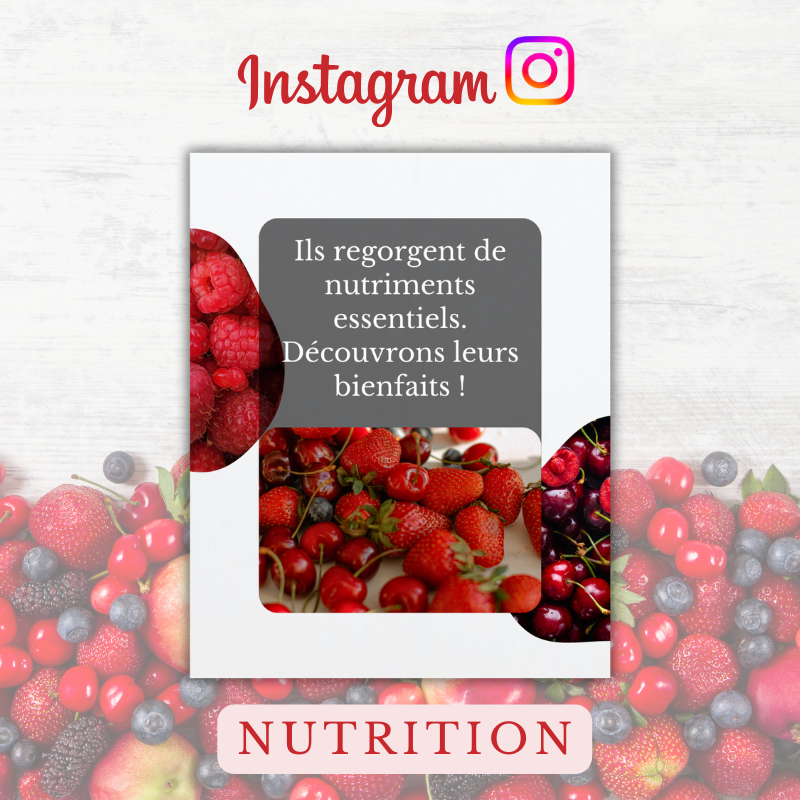 Templates PLR Instagram - Nutrition Fruits Rouges (5 posts à revendre)