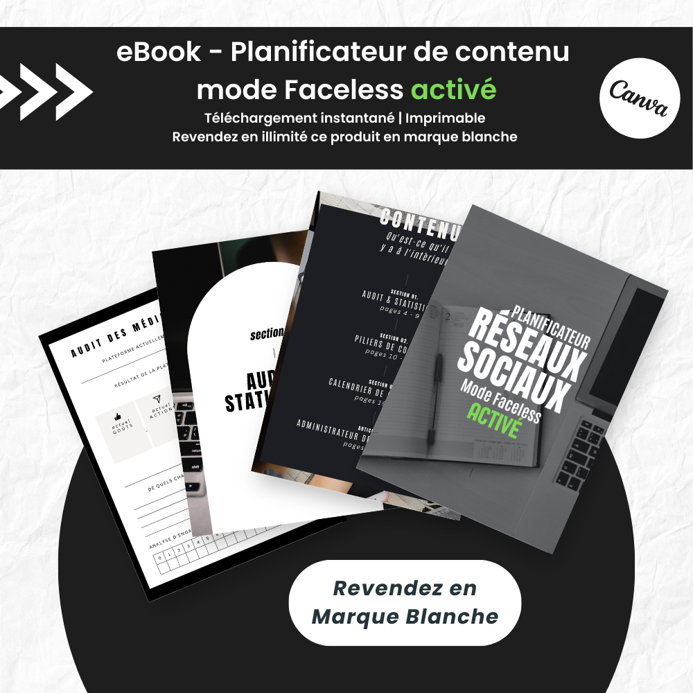 Planificateur réseaux sociaux mode Faceless activé PLR - Canva (À Revendre)