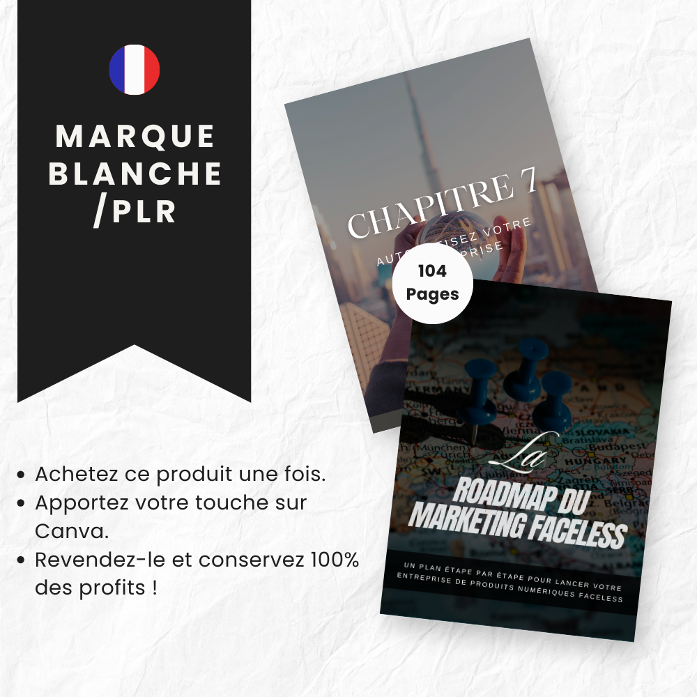 La Roadmap du Marketing Faceless PLR - eBook Canva (À Revendre)