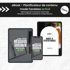 Planificateur réseaux sociaux mode Faceless activé PLR - Canva (À Revendre)