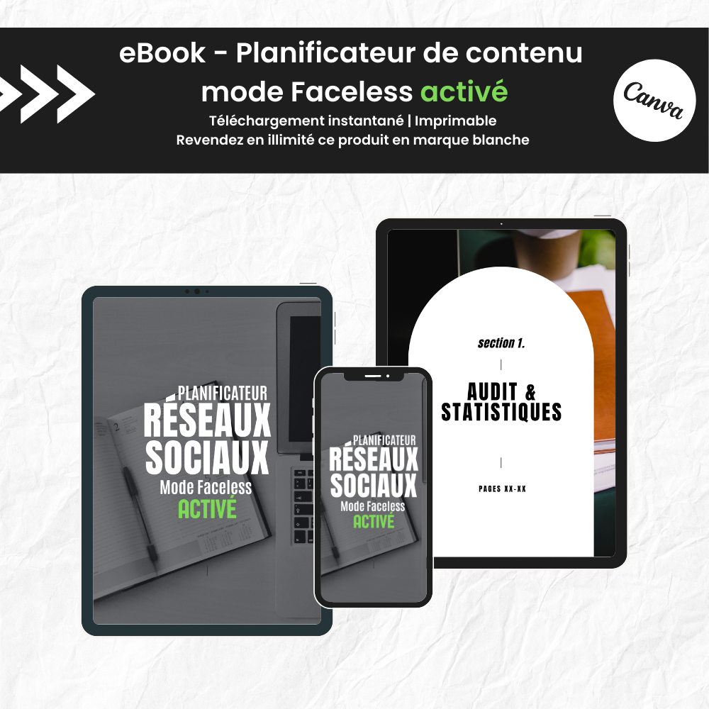 Planificateur réseaux sociaux mode Faceless activé PLR - Canva (À Revendre)