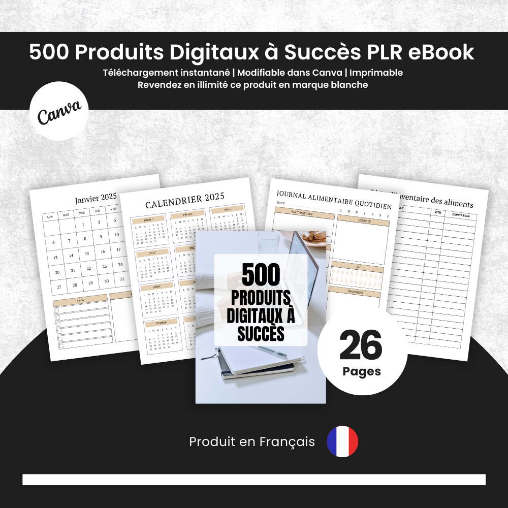 500 Produits Digitaux à Succès PLR - eBook Éditable Canva (À Revendre)