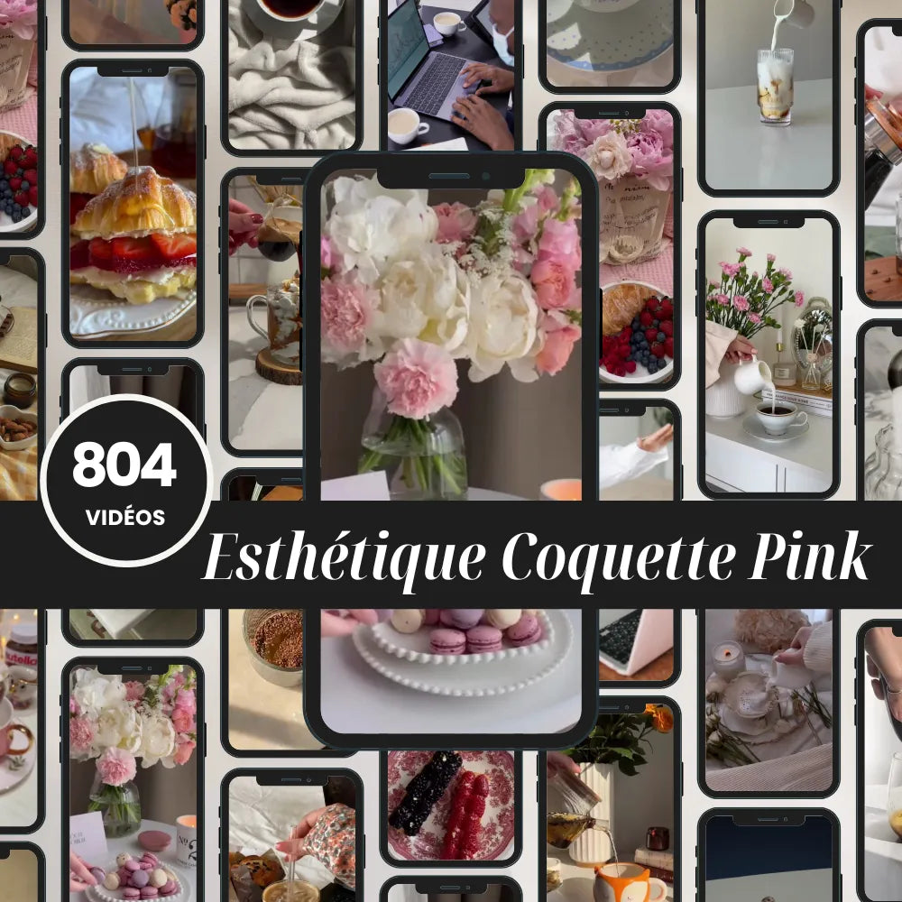 804 vidéos PLR Coquette Pink pour votre contenu digital PLR Marque blanche contenu revendable
