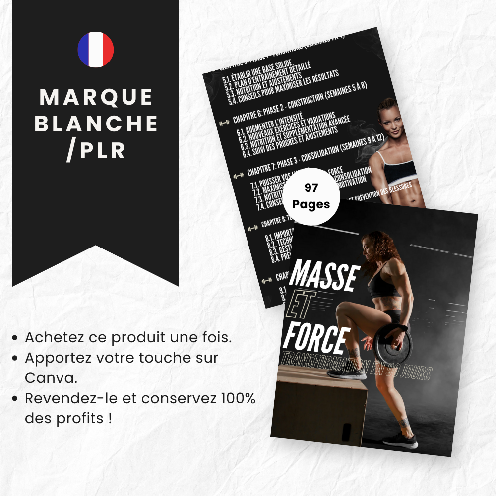 ebook prise de masse PLR Français