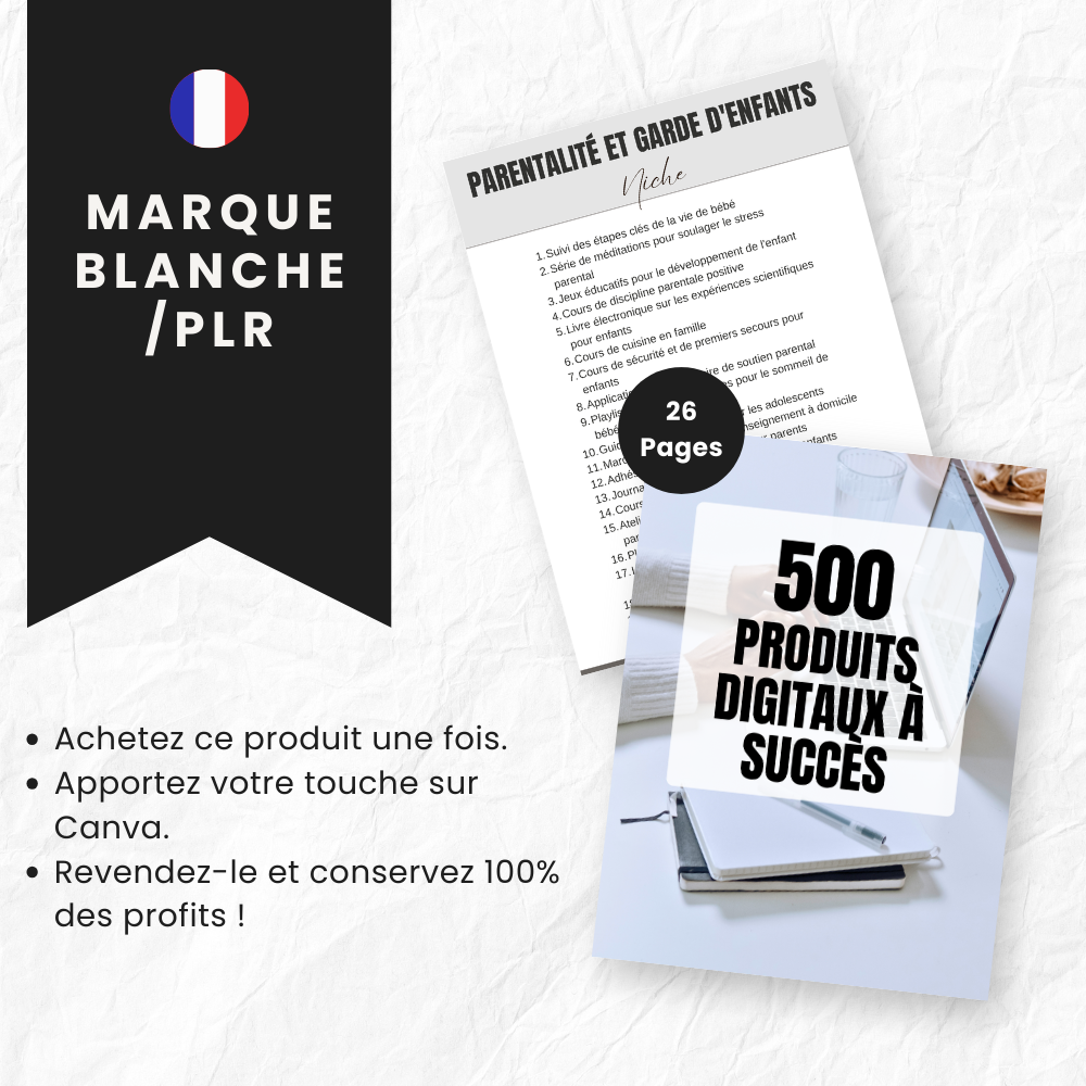 500 Produits Digitaux à Succès PLR - eBook Éditable Canva (À Revendre)