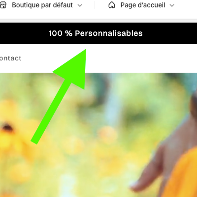 Section Shopify AnnonceMoi – Barre PLR multi-usages