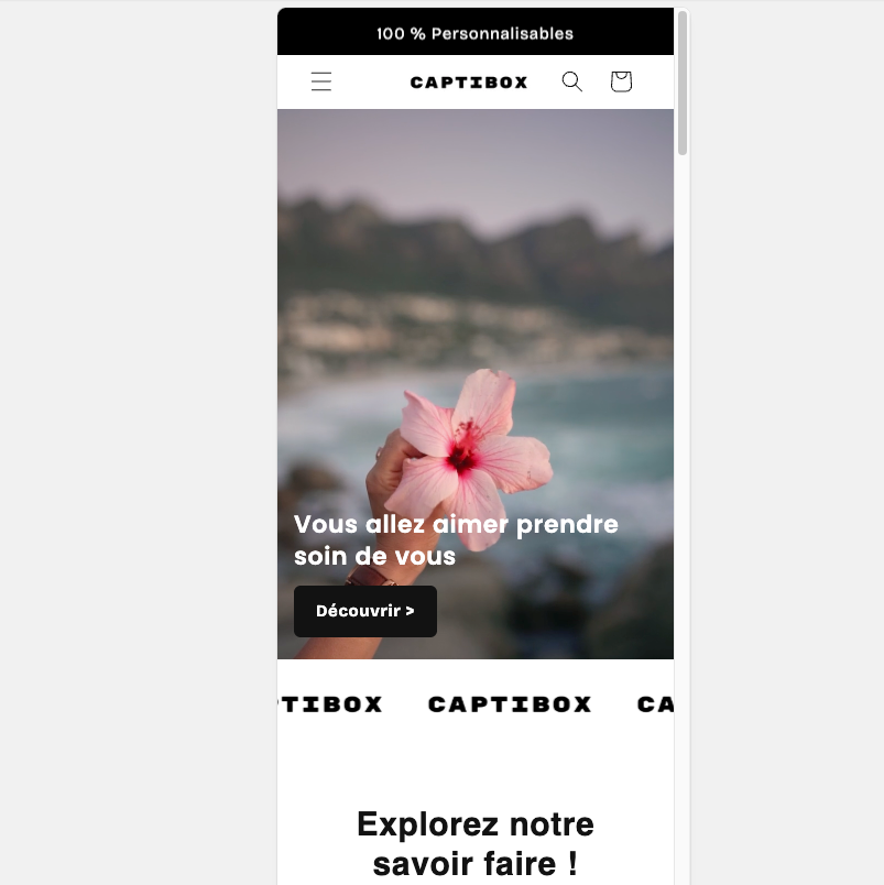 Section Shopify Bannière Vidéo – PLR exclusive