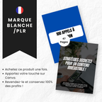 Faceless Stratégies Secrètes PLR pour créer du contenu percutant - Captivateur