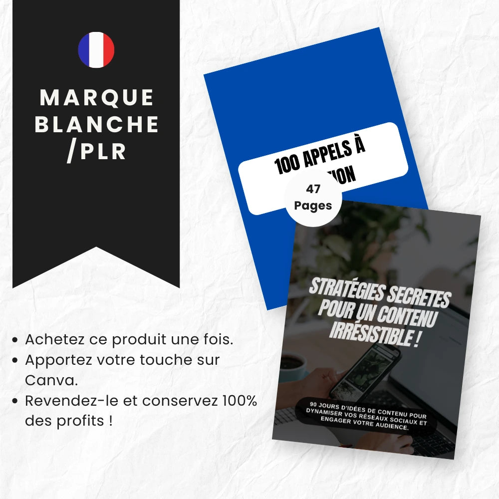 Faceless Stratégies Secrètes PLR pour créer du contenu percutant - Captivateur