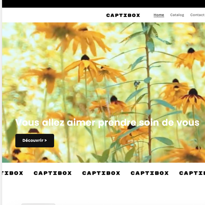 Pack 10 Sections Shopify PLR – Templates revendables clés en main - Captivateur