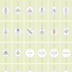 Templates PLR Icônes Story Instagram Nutrition Vert Clair (30 Modèles à Revendre) - Captivateur