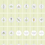 Templates PLR Icônes Story Instagram Nutrition Vert Clair (30 Modèles à Revendre) - Captivateur