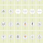 Templates PLR Icônes Story Instagram Nutrition Vert Clair (30 Modèles à Revendre) - Captivateur