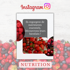 Templates PLR Instagram Carrousel Nutrition - Fruits Rouges (5 Posts à Revendre) - Captivateur