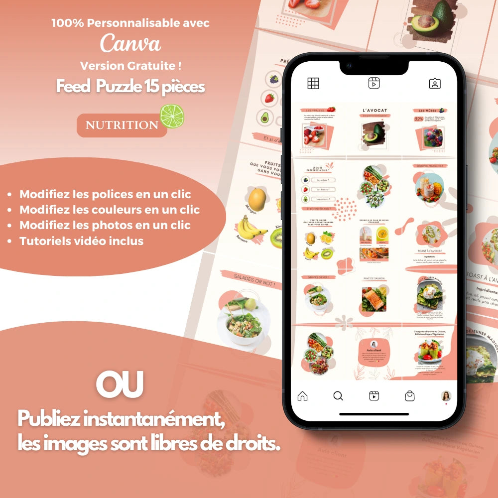 Templates PLR Instagram Nutrition - Feed Puzzle Rose (15 Pièces à Revendre) - Captivateur