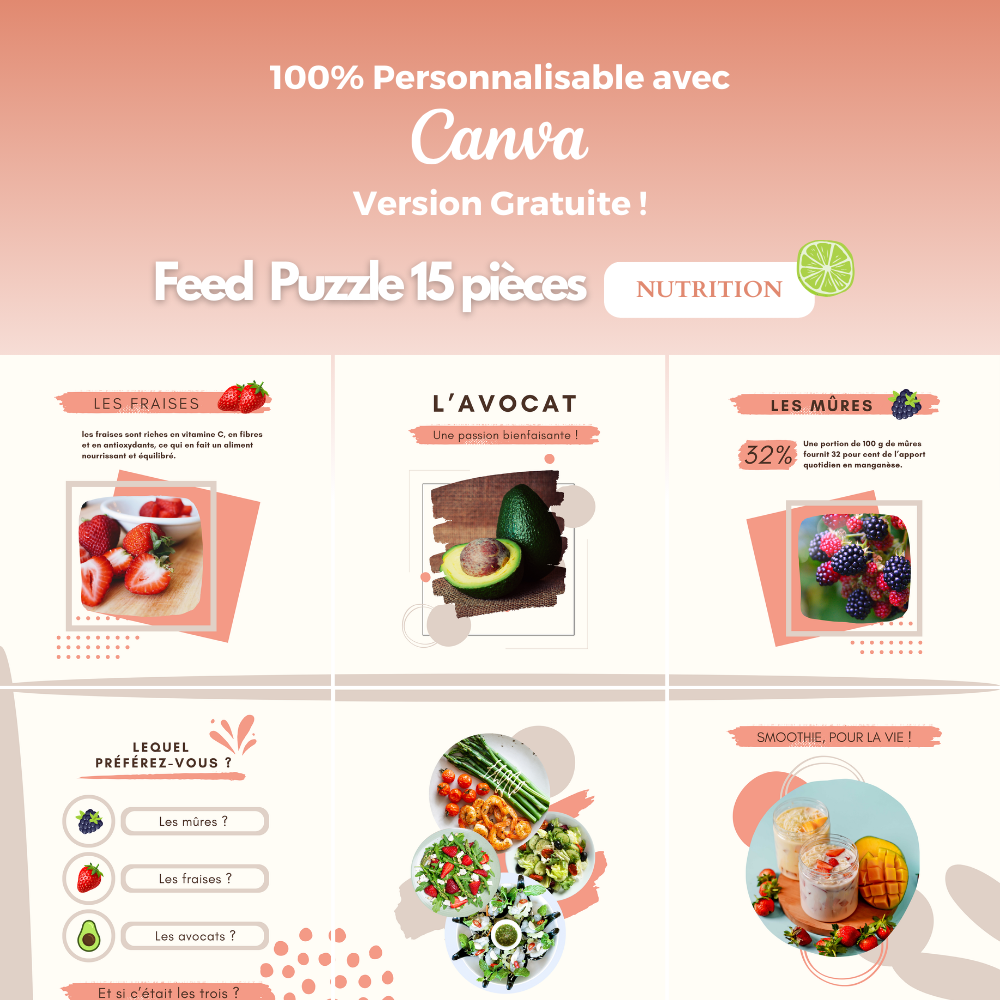 Templates PLR Instagram Nutrition - Feed Puzzle Rose (15 Pièces à Revendre) - Captivateur