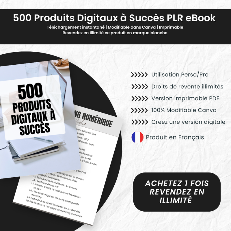 eBook 500 Produits Digitaux à Succès PLR - Captivateur