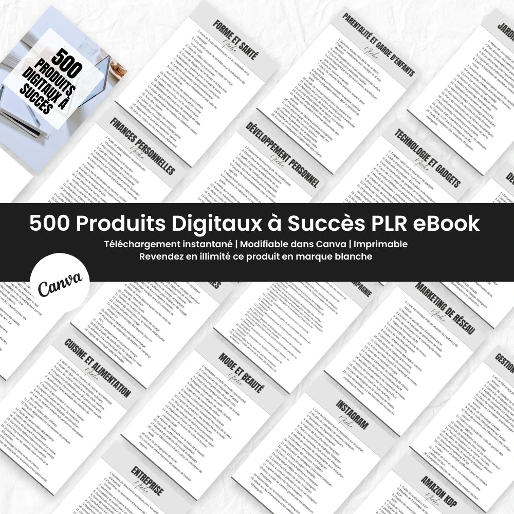 eBook 500 Produits Digitaux à Succès PLR - Captivateur