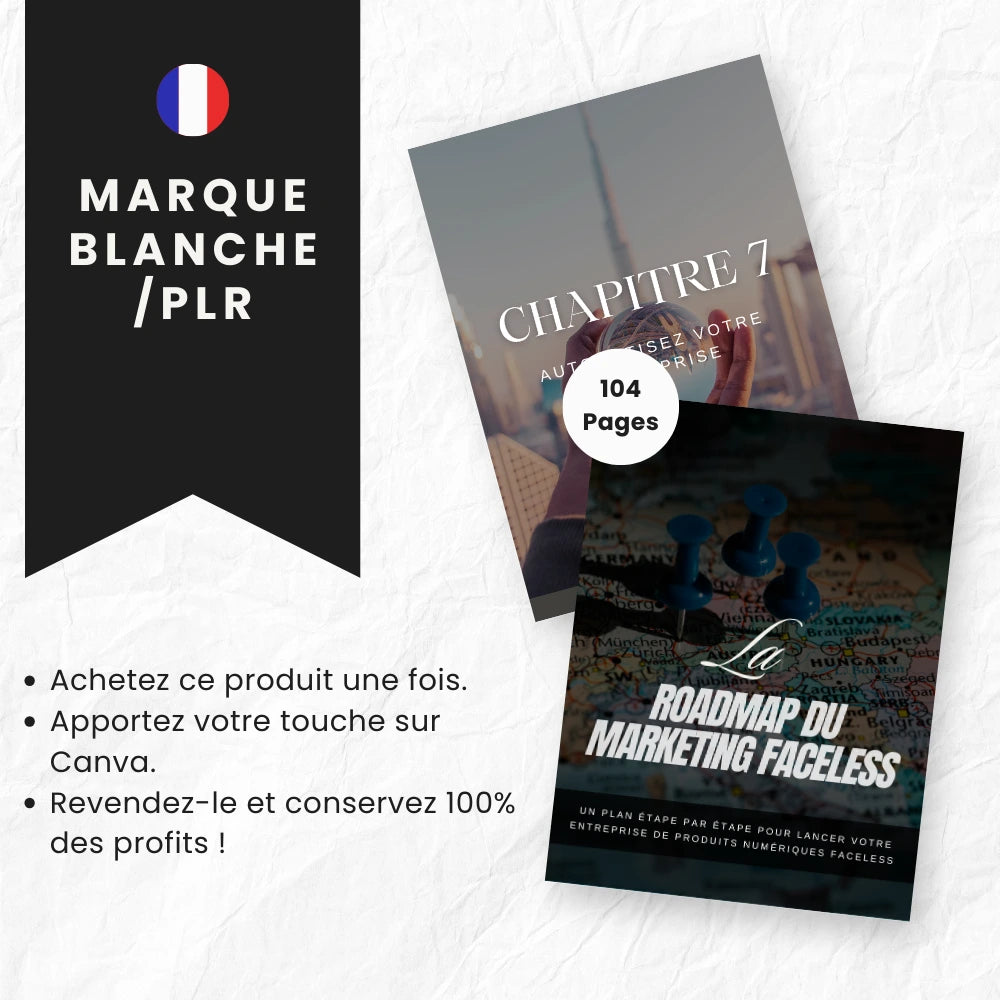 eBook Marketing Faceless PLR - Captivateur