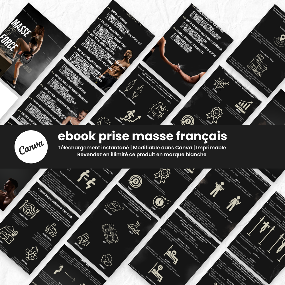 ebook prise de masse PLR Français - Captivateur