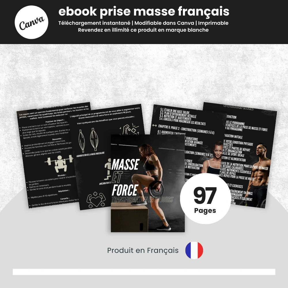 ebook prise de masse PLR Français - Captivateur