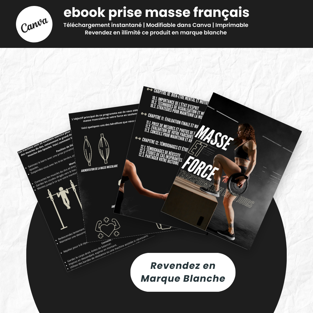 ebook prise de masse PLR Français - Captivateur