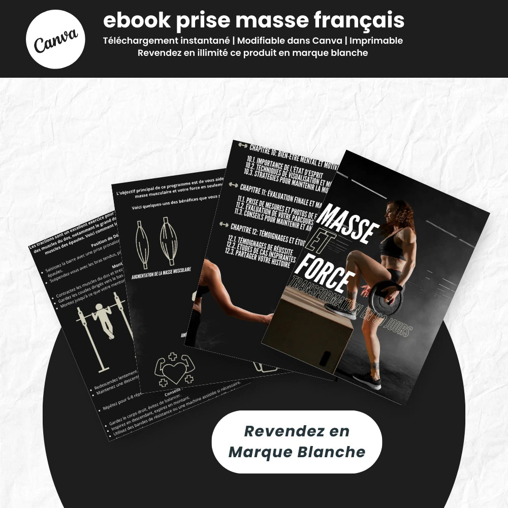 ebook prise de masse PLR Français - Captivateur
