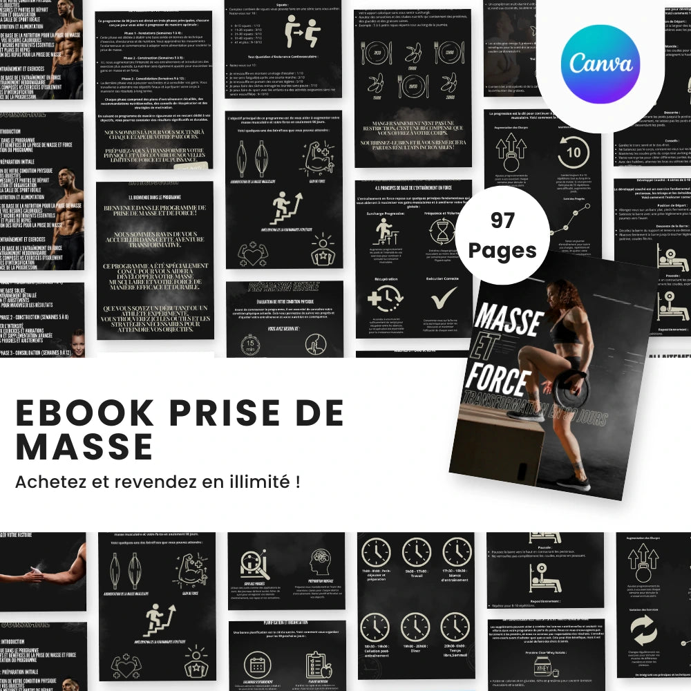 ebook prise de masse PLR Français - Captivateur