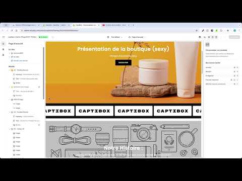 Section Shopify DéfileImage – PLR personnalisable